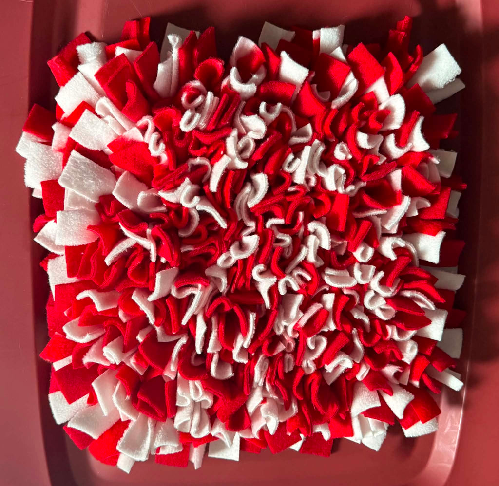 Snuffle Mat